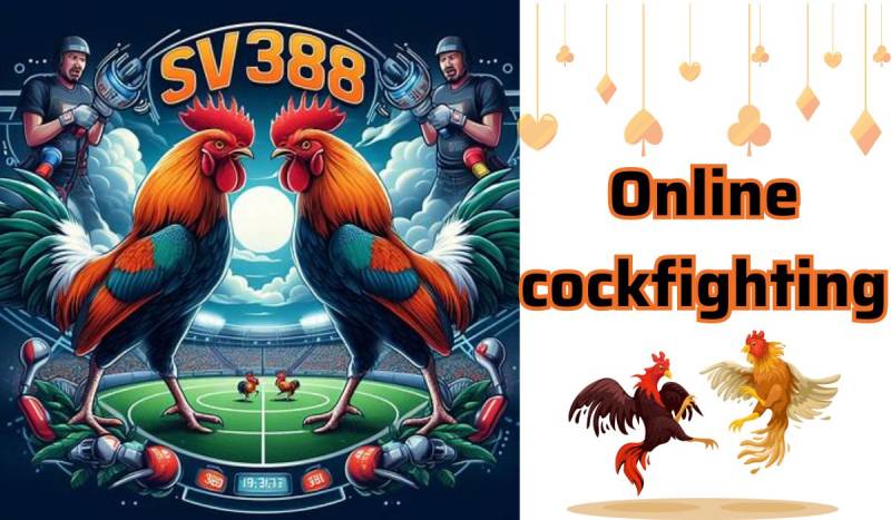 Điều Khoản & Điều Kiện 2 Ai Được Chơi Tại SV388?