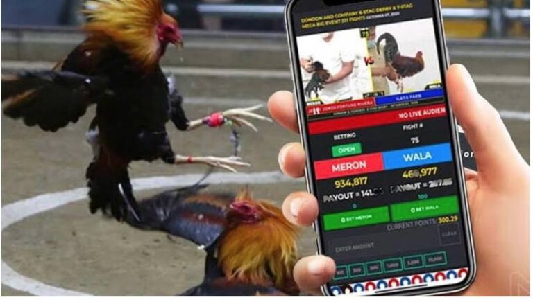 Đá Gà Online Có Bị Bắt Không? Sự Thật Không Phải Ai Cũng Biết 20 Đá Gà Online Có Bị Bắt Không? Sự Thật Không Phải Ai Cũng Biết