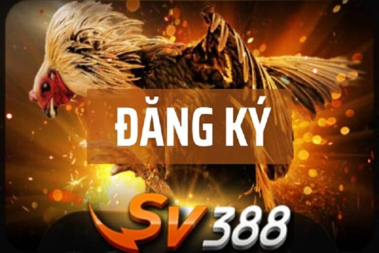Hướng Dẫn Đăng Ký SV388 Chỉ Vài Bước Cơ Bản 15 Hướng Dẫn Đăng Ký SV388 Chỉ Vài Bước Cơ Bản