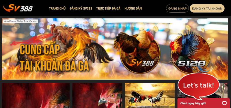 Về Chúng Tôi 1 Thông Tin Đầy Đủ Về SV388